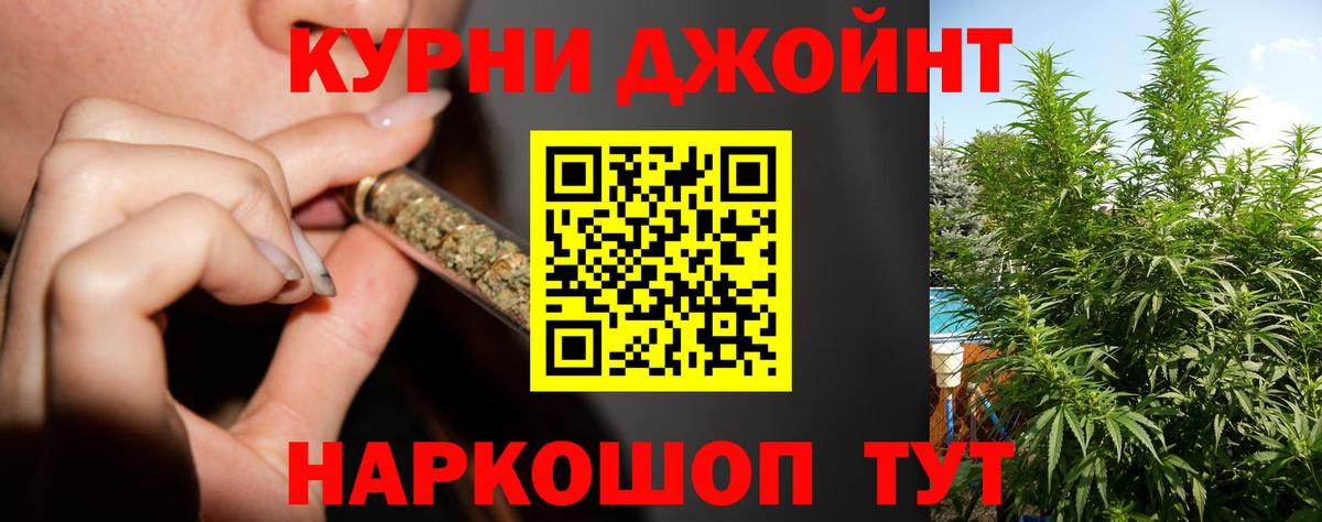 Каннабис ГИДРОПОН  Конопля Bruce Banner  Коммунар  Вход с VPN 